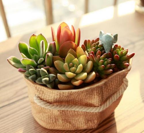 Ê×¶¼ÍøÂçÆÕ·¨ÁªÃË¡°e·¨Ö®¹â¡±»î¶¯ÔÚ¾©¾ÙÐÐ