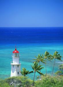 ½ÌÓý²¿²¿Êð2021ÄêÃæÏò¸Û°Ą̈µØÇøÕÐÊÕÑо¿Éú¹¤×÷