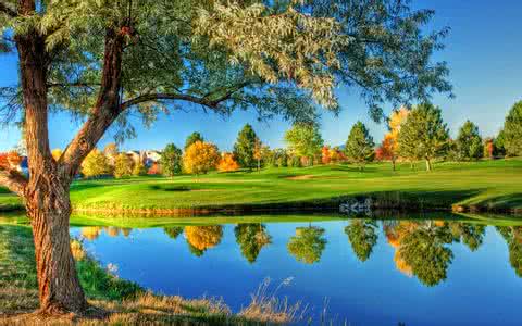 200ÒÚÃÀÔª£¡ÉϺ£2020ÄêÔ¤¼ÆÎüÊÕÍâ×Ê´´Àúʷиß