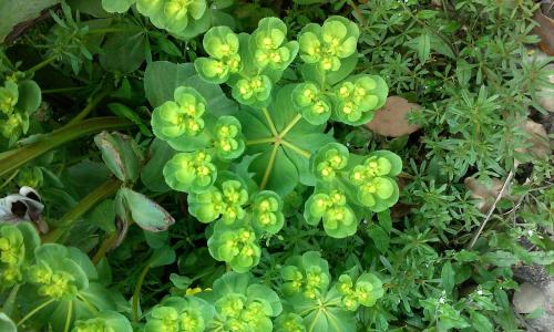 ½ÌÓý²¿²¿Êð2021ÄêÃæÏò¸Û°Ą̈µØÇøÕÐÊÕÑо¿Éú¹¤×÷