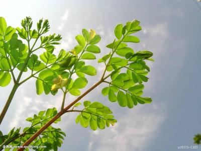 È«ÇòIPOÈÚ×ʶî½Ó½üÀúÊ·¸ßλ Êг¡µ£ÓǹÉÊÐÅÝÄ