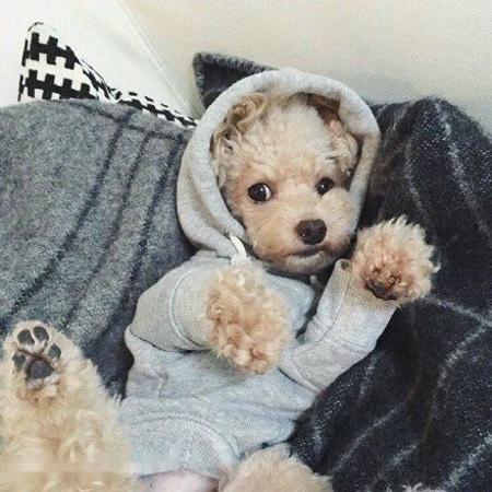 ÉêÇëÃ÷Äê±±¾©Ð¡¿Í³µÖ¸±êû±ØÒªÔú¶Ñ É걨ÆÚÓÐ67Ìì