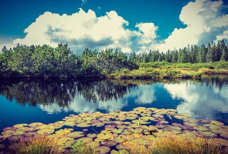 ¹ìµÀÉϵIJýƽ¢ÙØ17ºÅÏß¼ÓËÙ¼¤»îδÀ´¿ÆÑ§³Ç´´Ð»îÁ¦