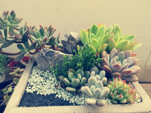 Î÷°²Ò»Ì쿪ͨÈýÌõµØÌúÏß ÓοÍÓÎÍæ¸ü±ã½Ý